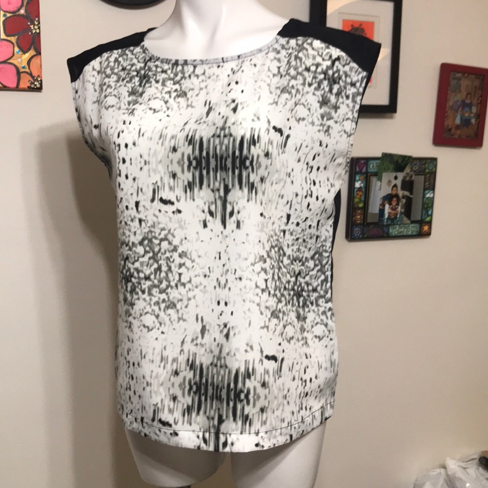 ABS platinum sleeveless blouse (S) fits like (M)